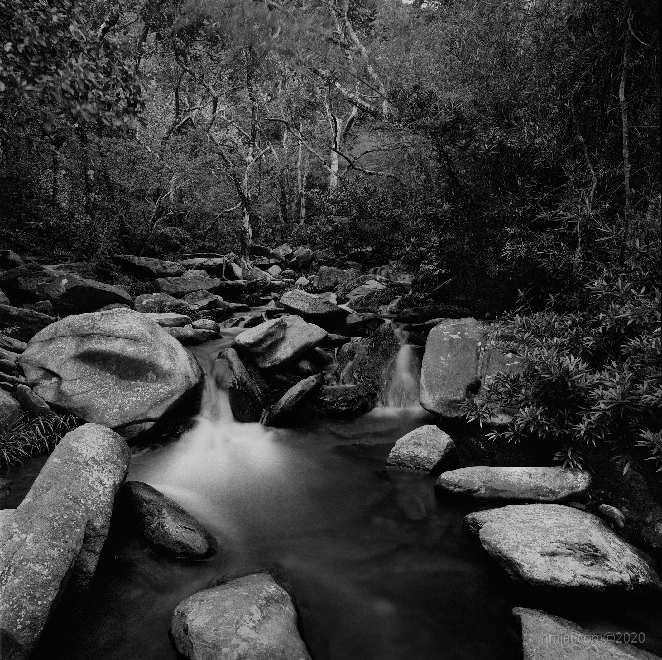 20201007_0010.JPG