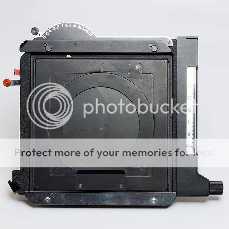 Shutter4.jpg
