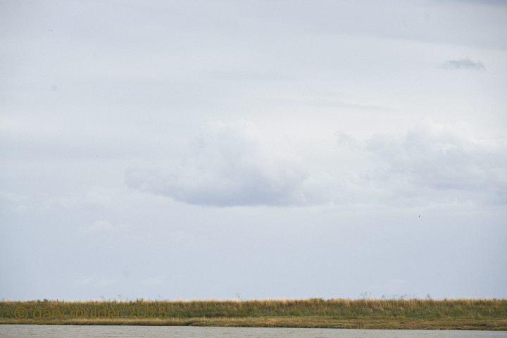 NZ7_0477.jpg