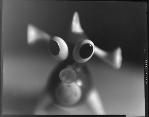 3795434559_fb83bdf904.jpg