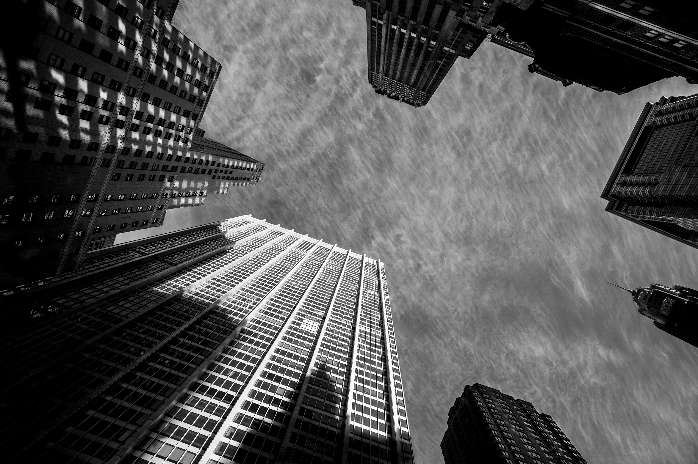 nyc-bohemians-view-2016-daniel-d-teoli-jr-m.jpg