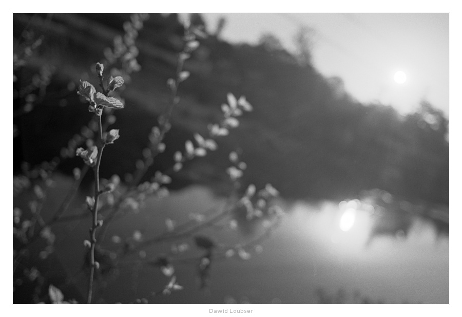 fuzzy_sunset_by_philosomatographer-d5dgg1k.jpg