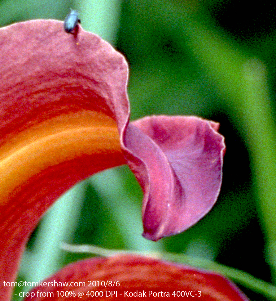 2010Aug5_scan2_400VC-3_crop.jpg
