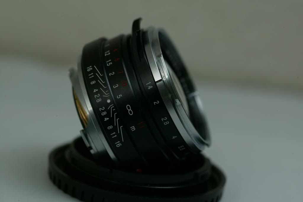 61EW6983_zps49cede35.jpg