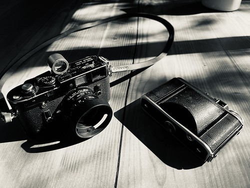 54708132263_a0538f2278.jpg