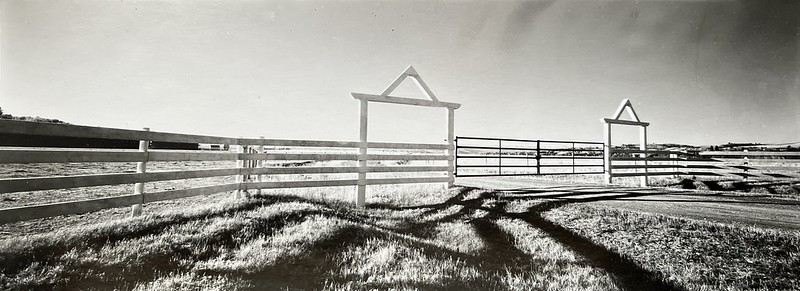 52772562874_e298c23004_c.jpg