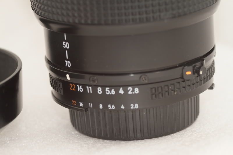 Nikon16.jpg
