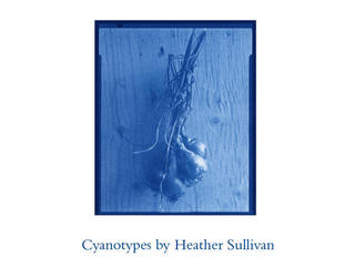 2011cyanotype-thumb.jpg