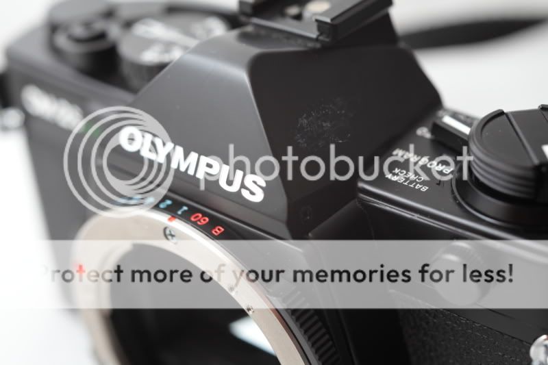 Olympuscameras11.jpg