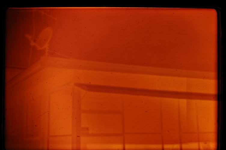 DSC_3445-edited-resized.jpg