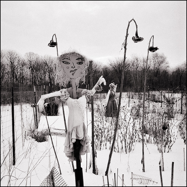 winter-scarecrows-1.jpg