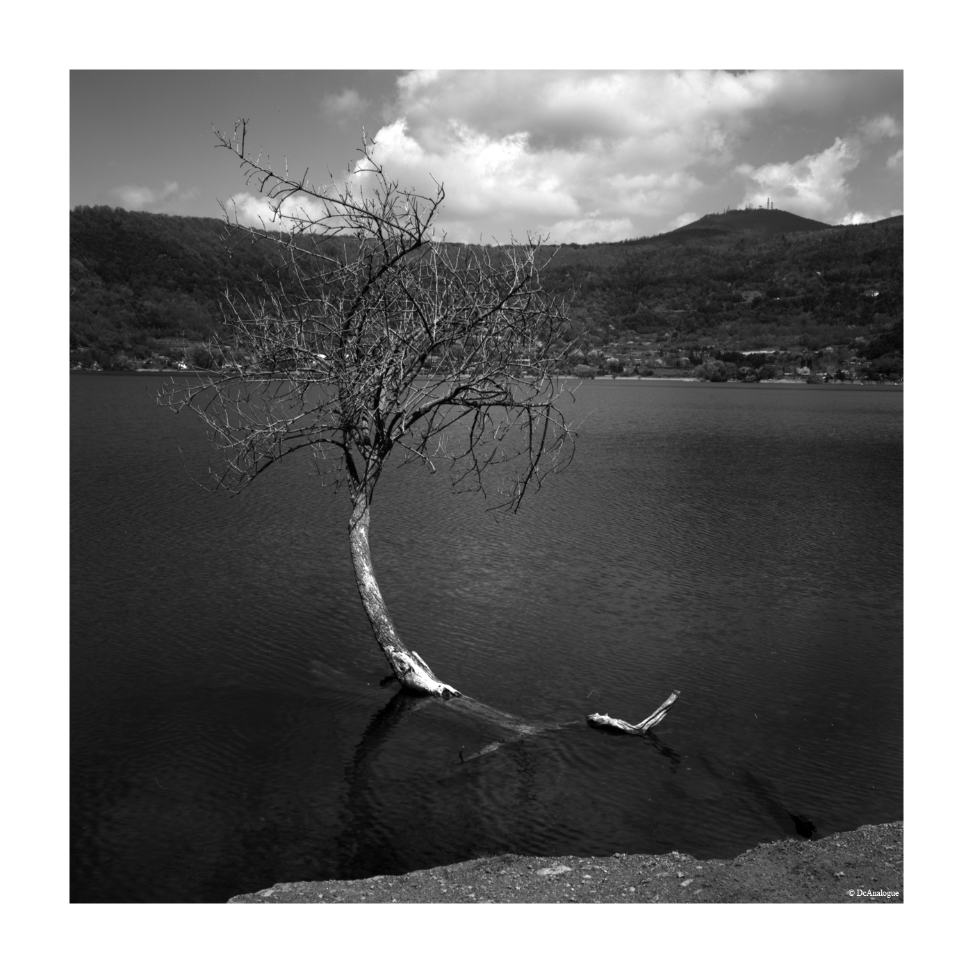 001_rollei_cms20_007.jpg
