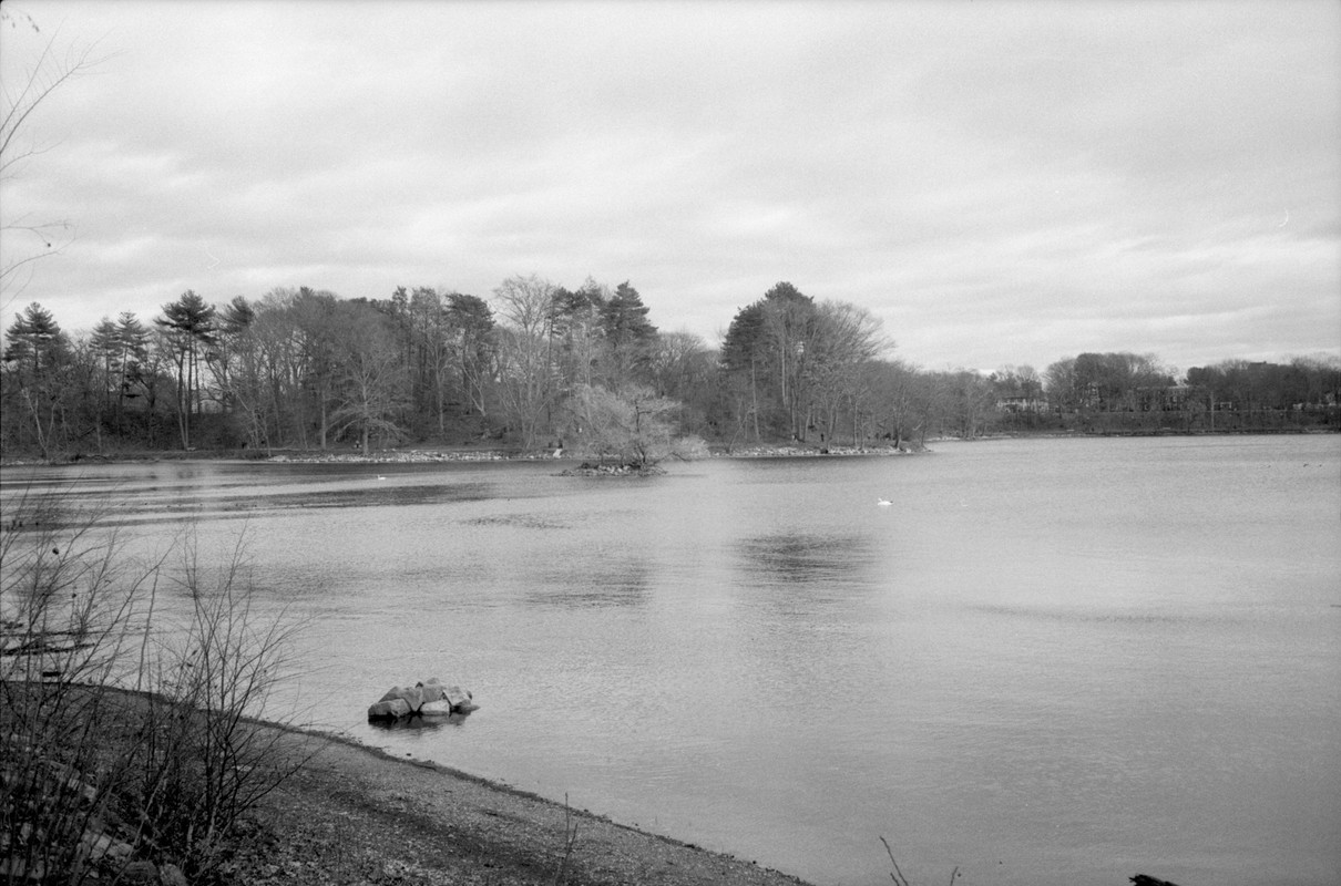 RC-kentmere100-8.jpg
