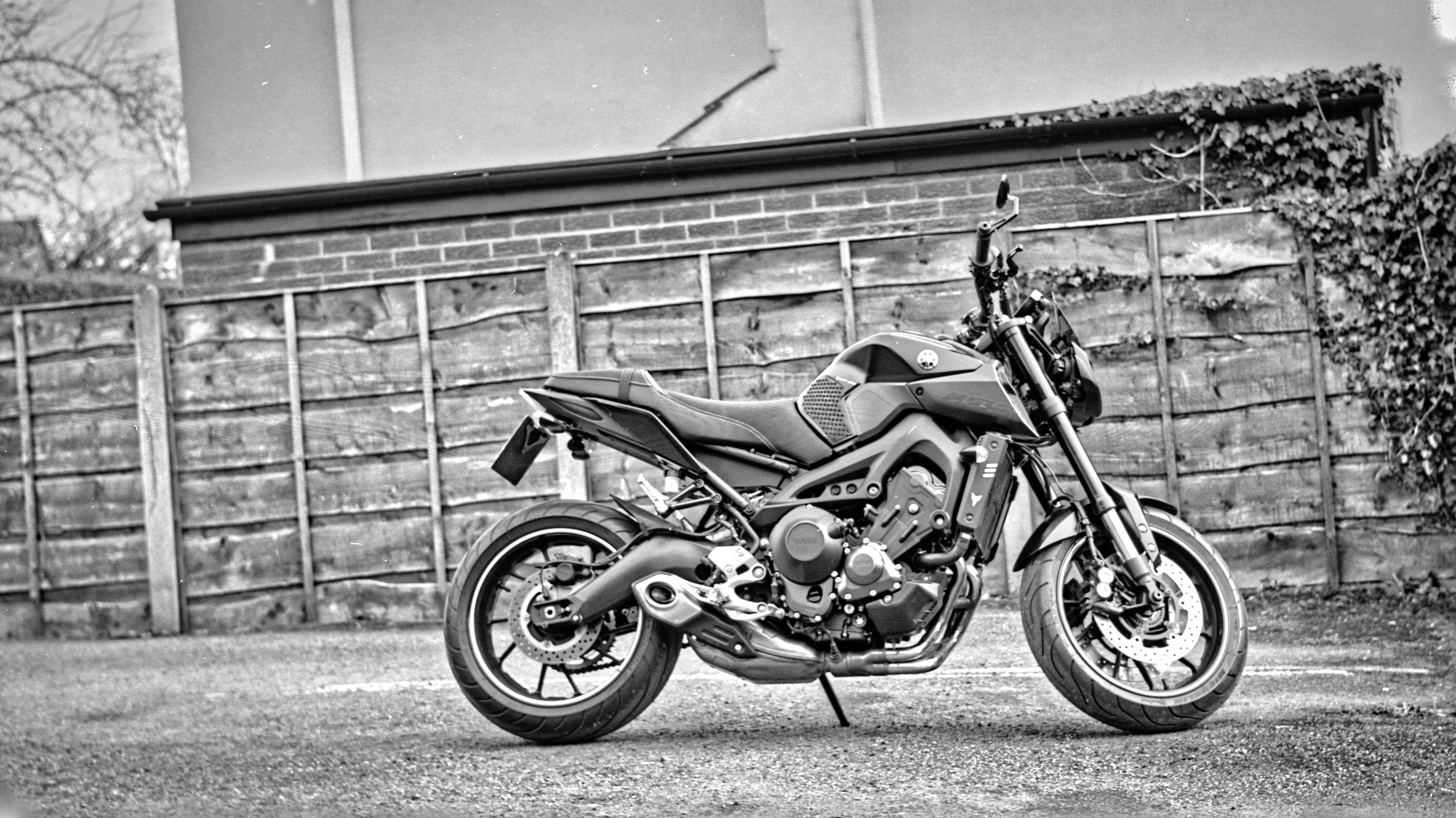 Yamaha.jpg