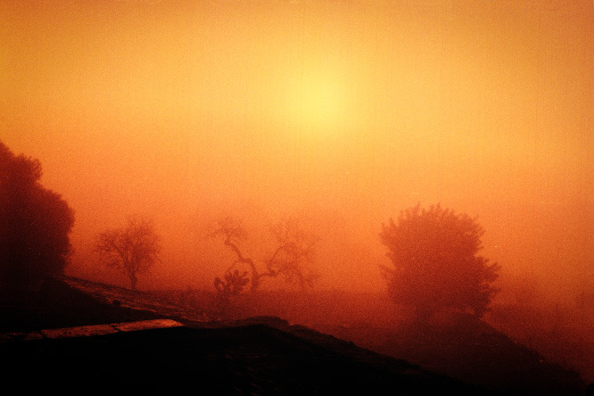 tumblr_ozm3qmM3Ut1qazbuto1_1280.jpg