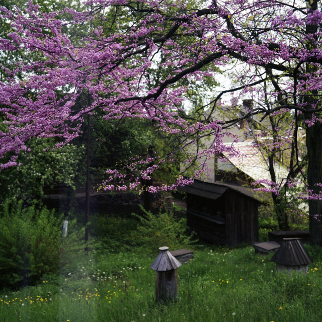 s640x480