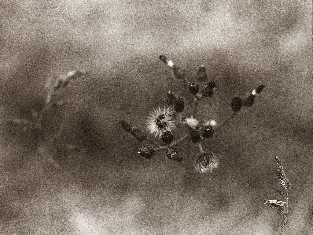 pretty___n_gritty_by_kb244.jpg