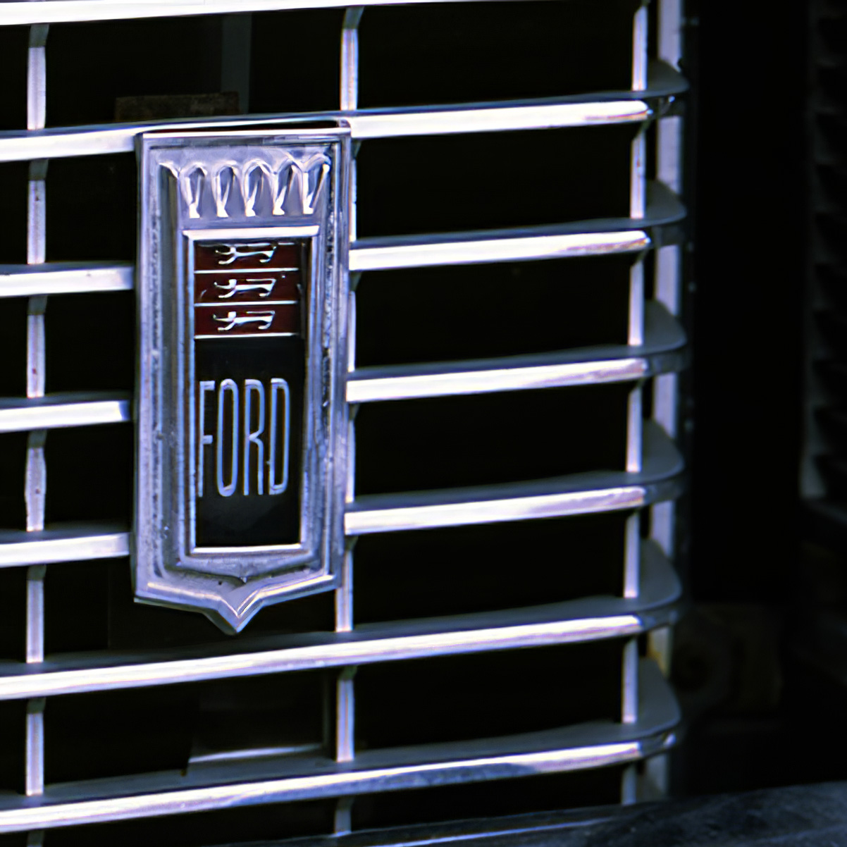 49506366973_fcfc567136_o.jpg