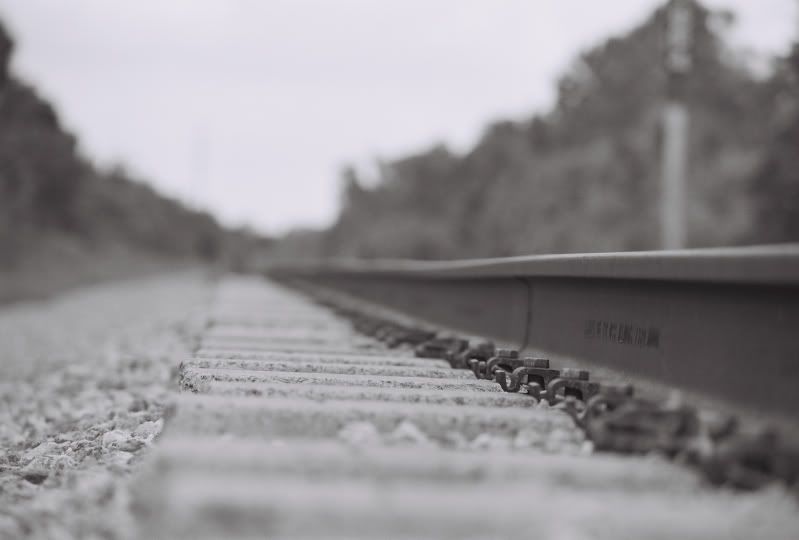 5928790-017.jpg
