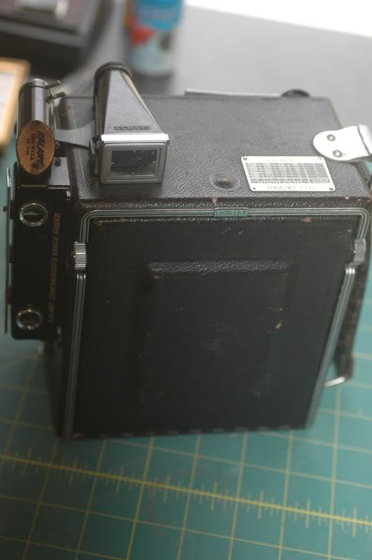 DSC_8456.jpg