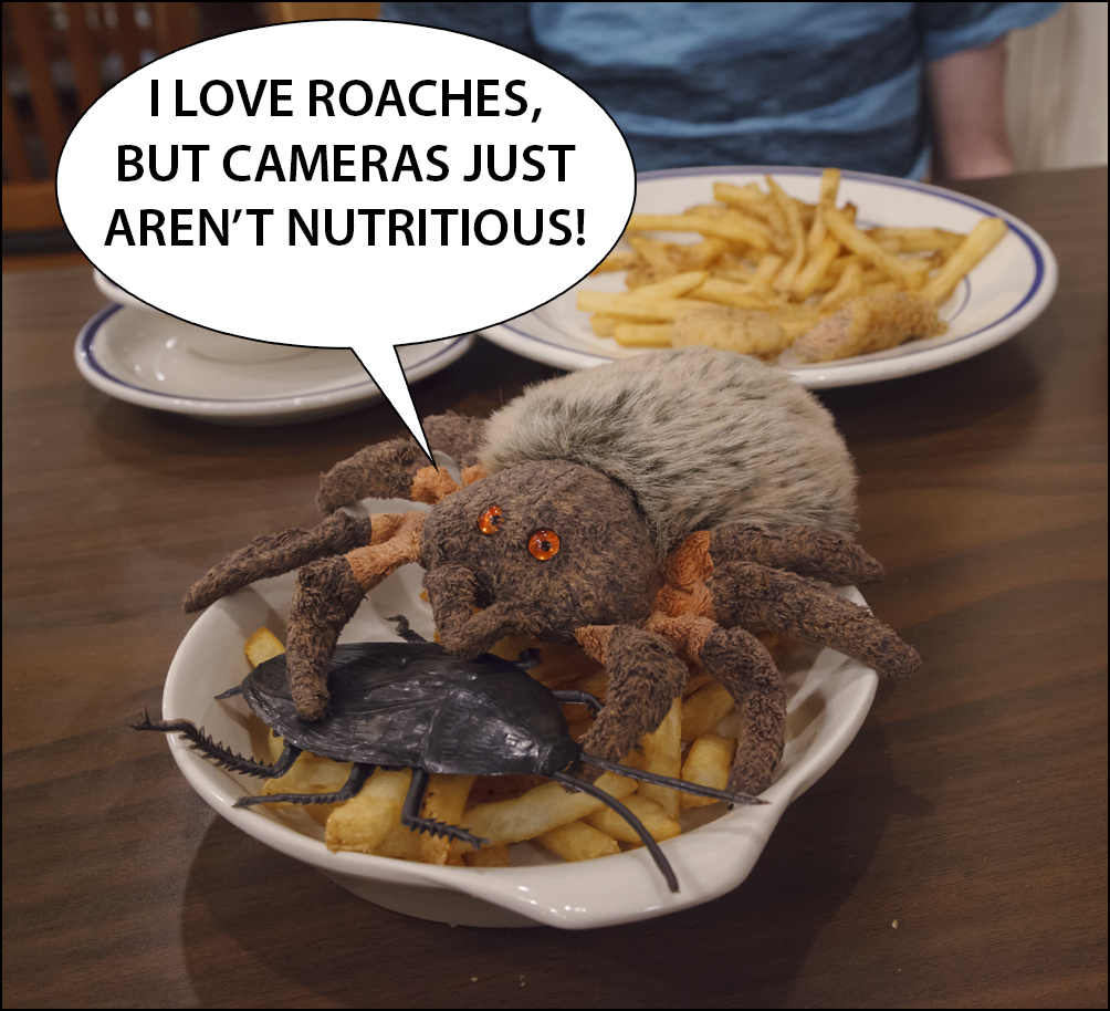 hairy-meme-cameras1.jpg