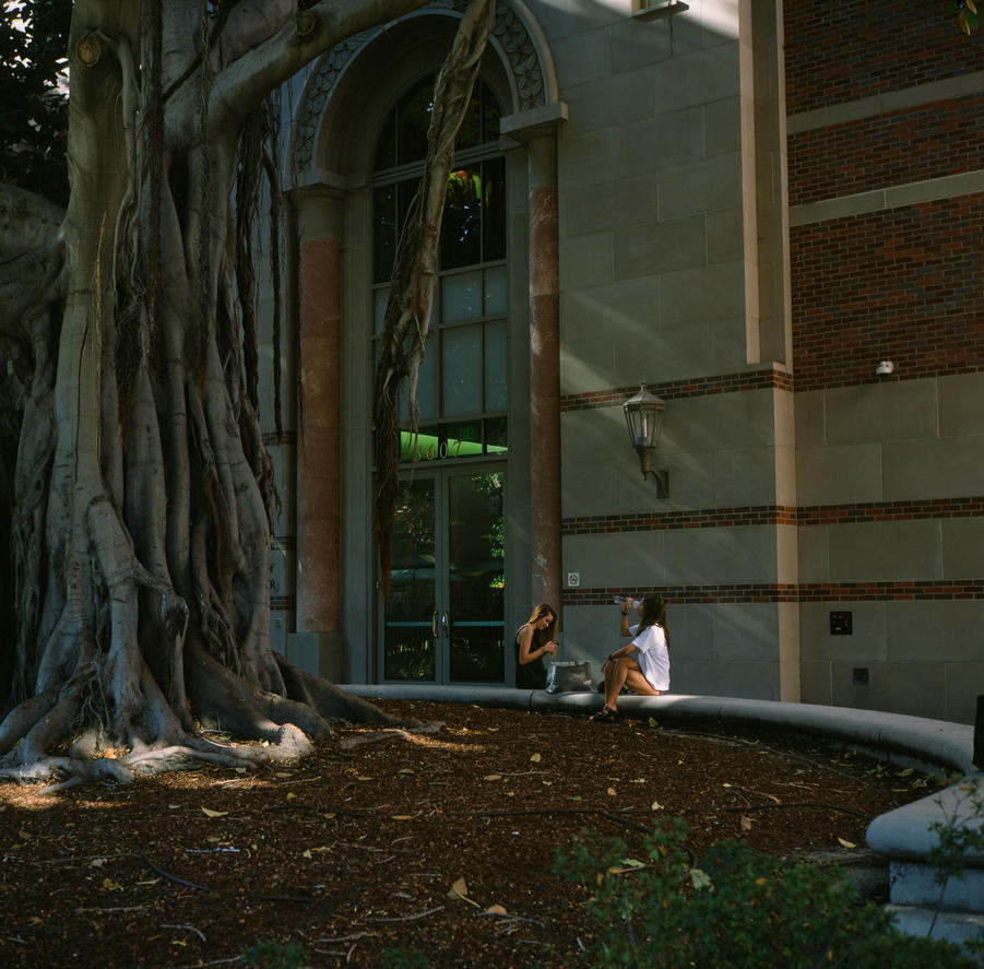 usc_campus_by_trondsig-da65tif.jpg