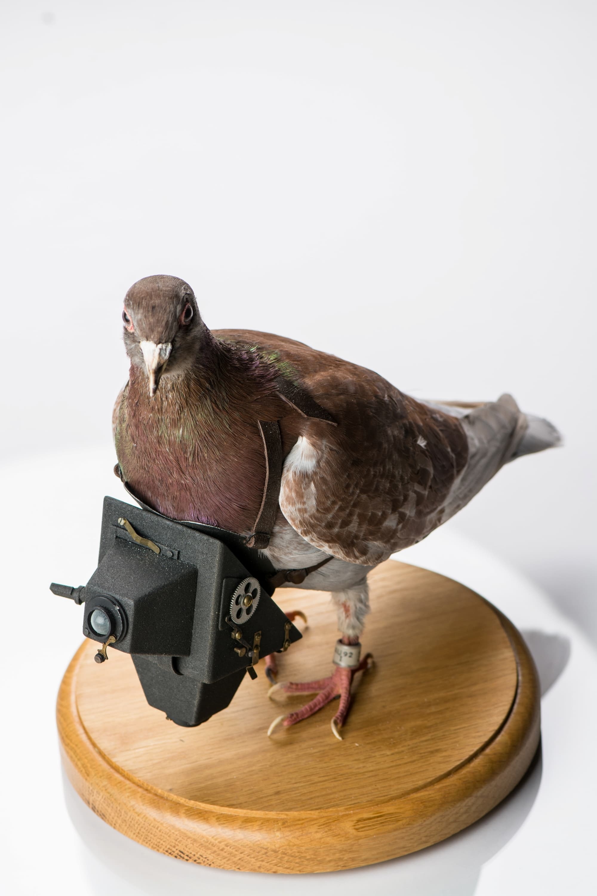 www.spymuseum.org