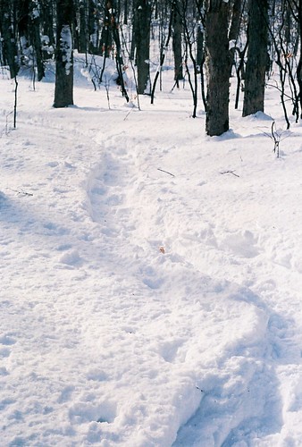 5362113556_9da1fe8489.jpg