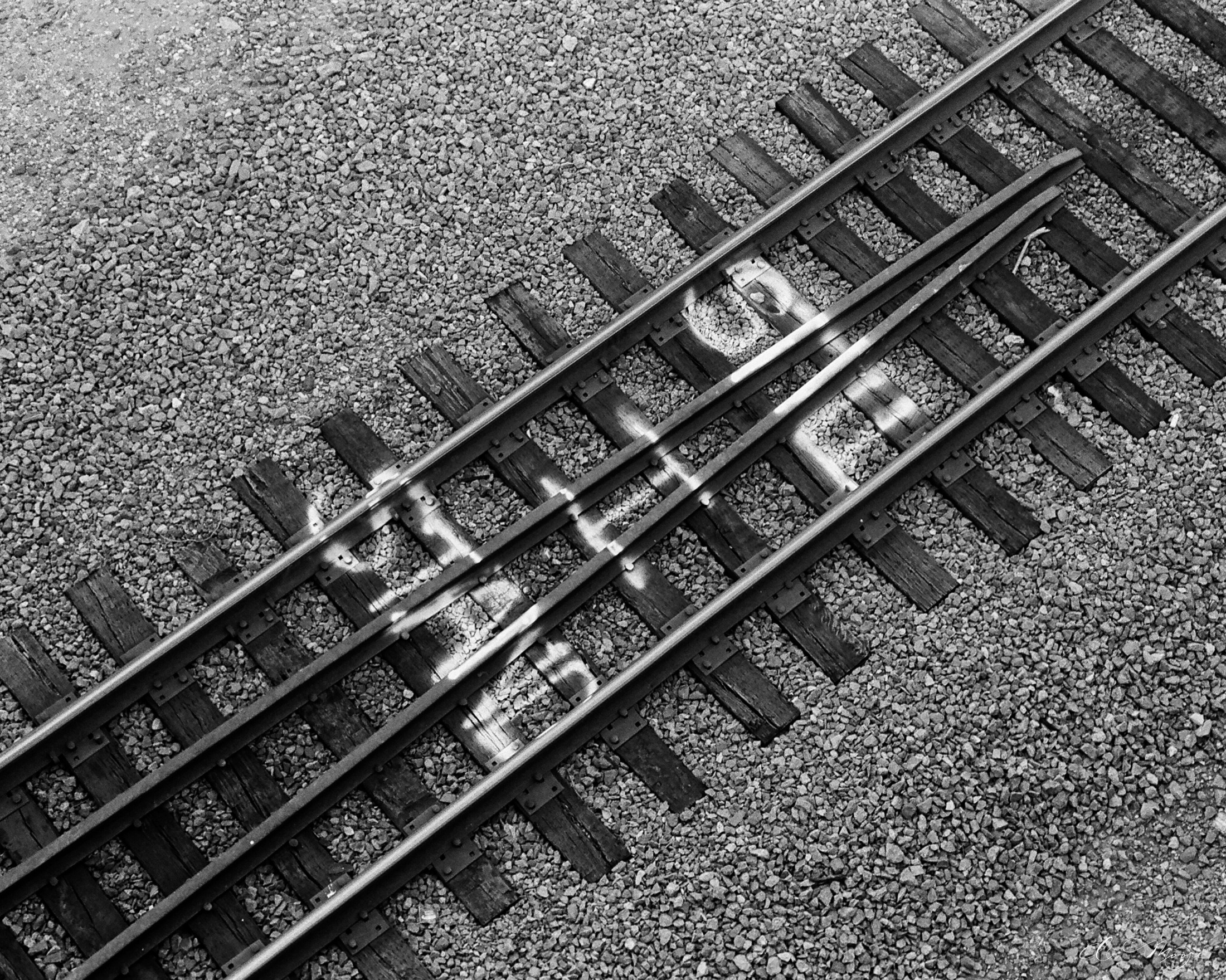FR4_StillIStand_1_47840036.jpg