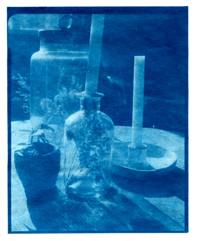 Cyanotype-from-dye-stain-image.jpg
