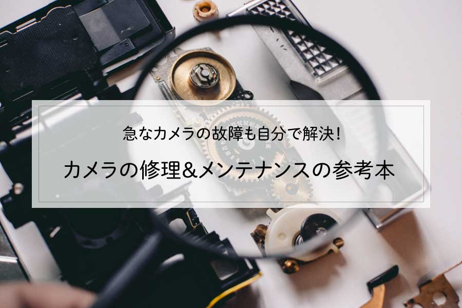 share--photography-com.translate.goog