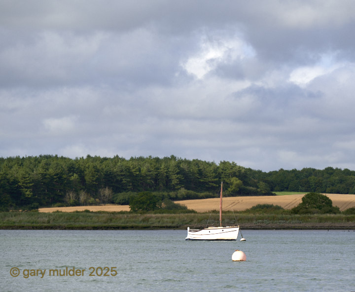 NZ7_0420.jpg