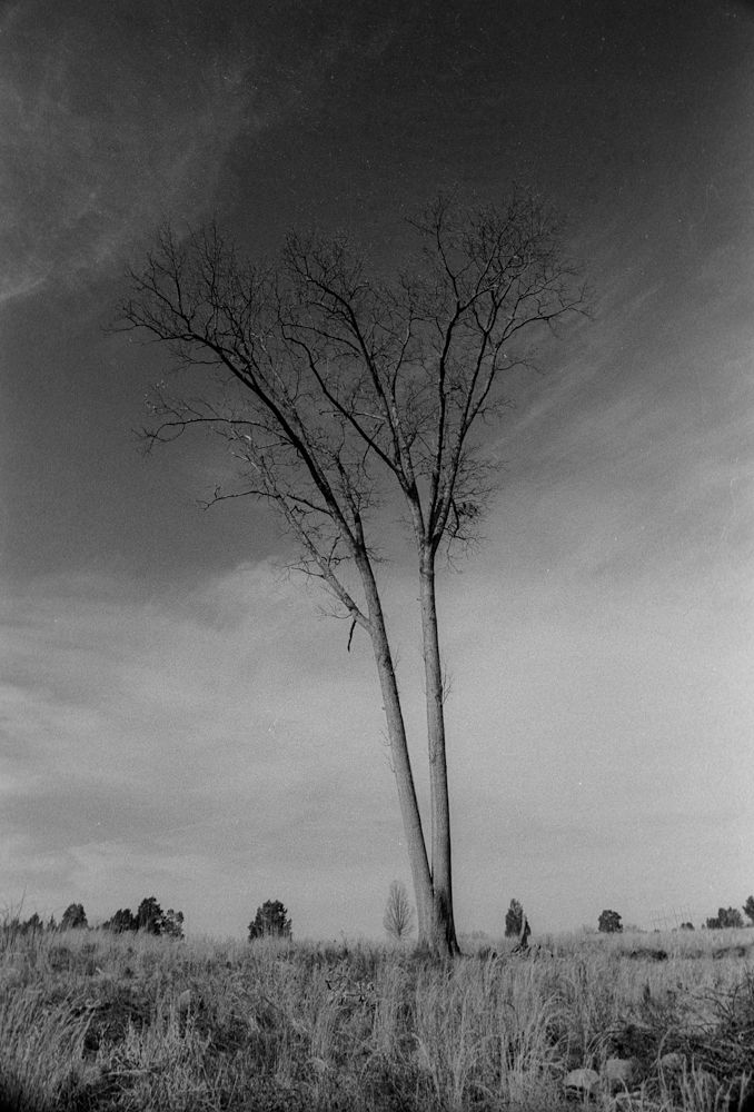 Scan-130131-0008_zpse3de2986.jpg