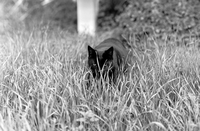 Delta100_135_test1_800-119.jpg