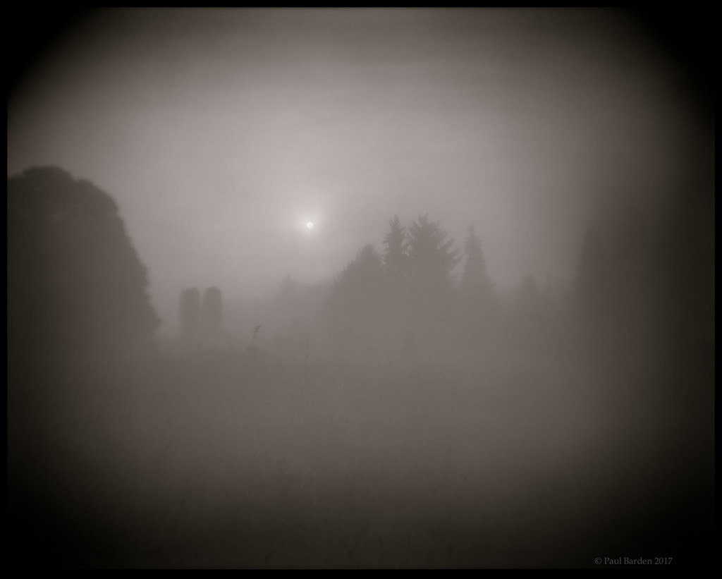 37481645600_c0f8fdc554_b.jpg
