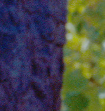 4017099097_8497b5ee5a_o.jpg