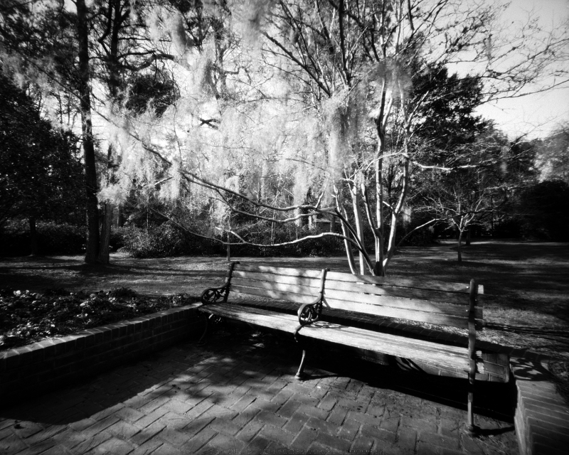 ParkBench2.jpg