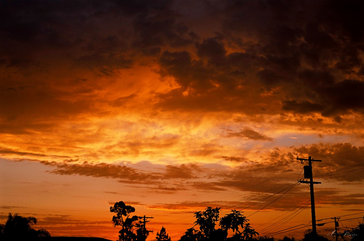 FujiProvia_1250_82220021.jpg