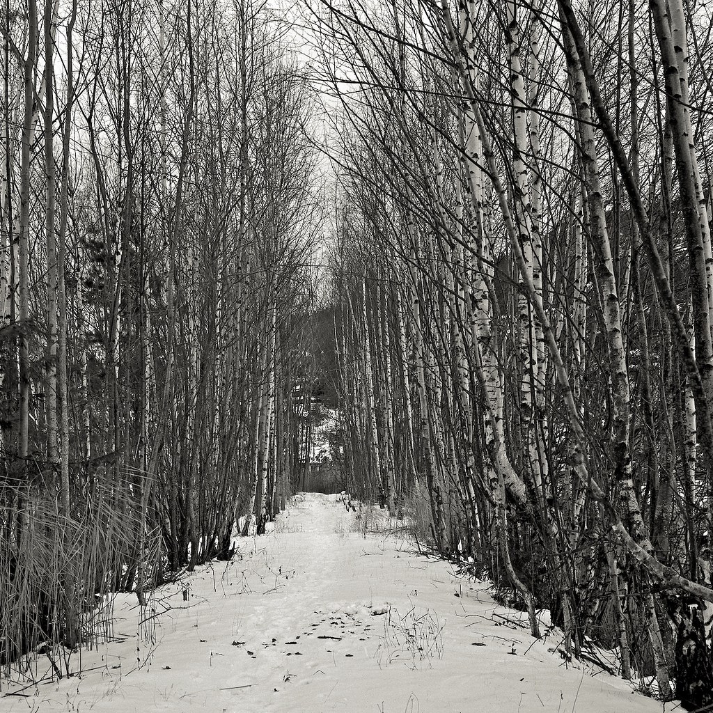 5222278732_1aac9ecf69_b.jpg
