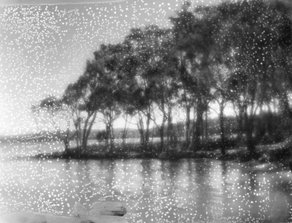 16089247268_cff6b86525_b.jpg