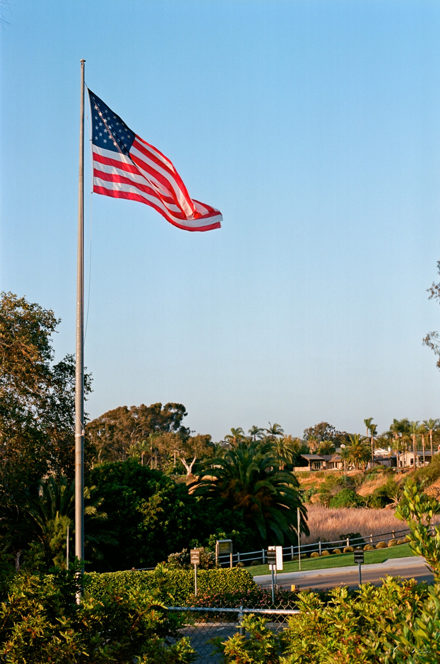 Ektar_Flag_47850027.jpg