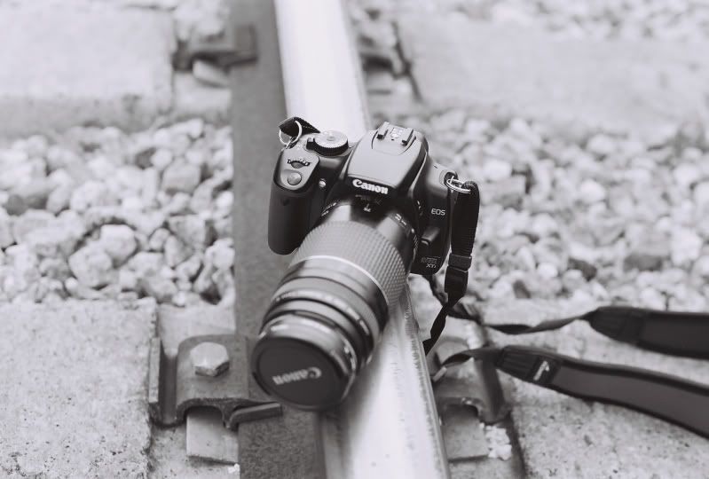 5928790-013.jpg