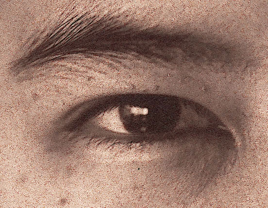 n2005albumen,dtl.jpg