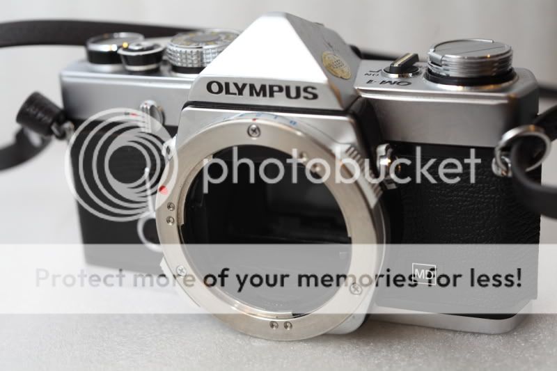 Olympuscameras1.jpg