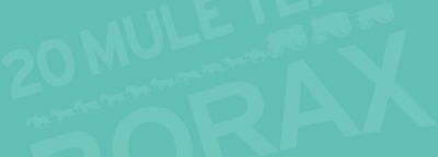 www.20muleteamlaundry.com