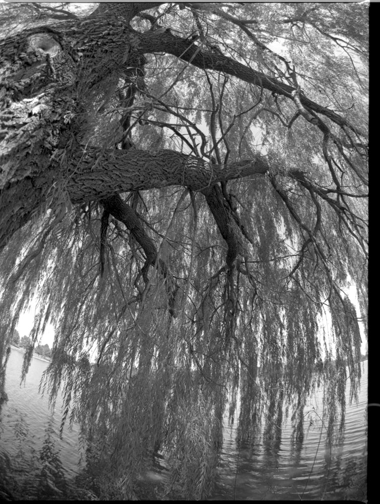 mamiya rb67 37mm lens