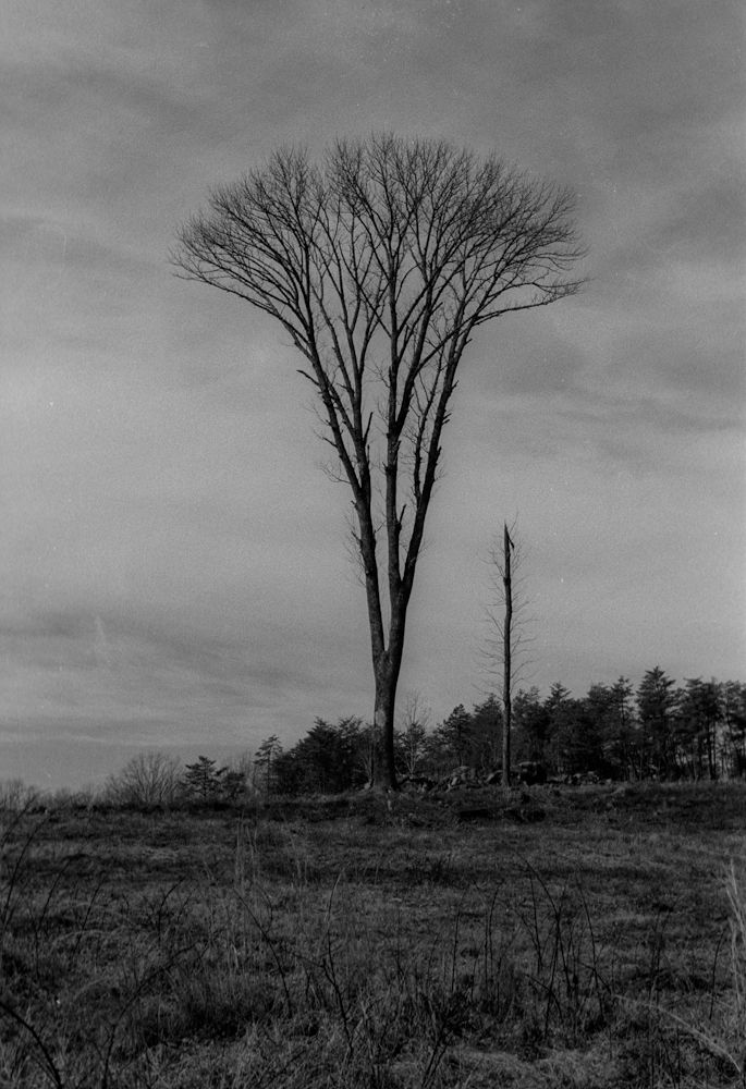 Scan-130131-0005_zpsfa8be7c6.jpg