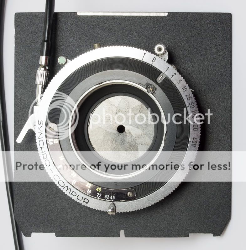 210mmShutter.jpg