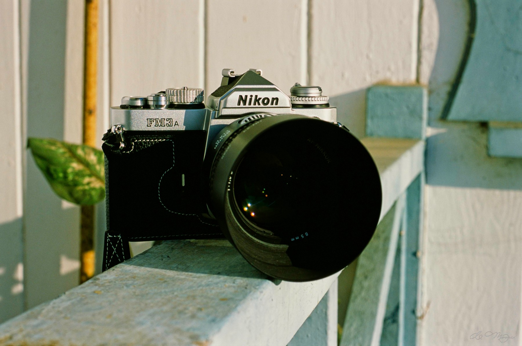 FujiProvia_1800_82220028.jpg