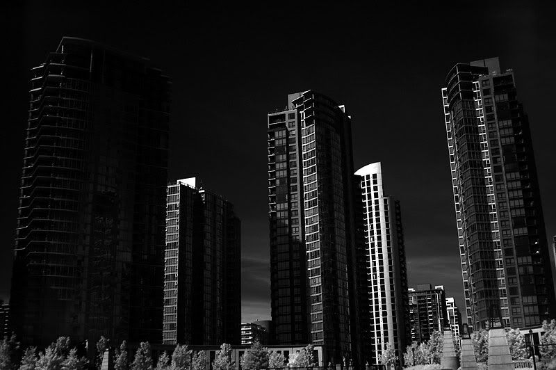 PICT7685.jpg